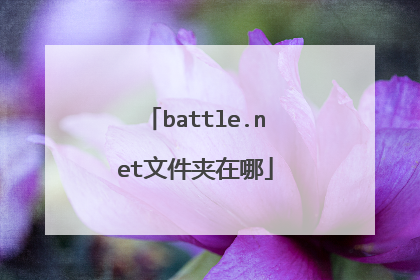 battle.net文件夹在哪