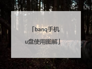 banq手机u盘使用图解