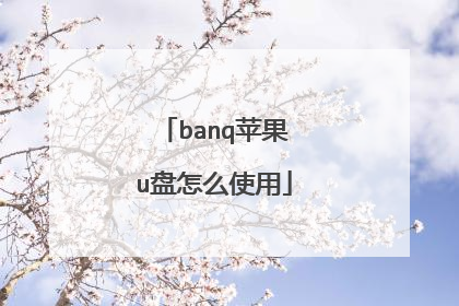 banq苹果u盘怎么使用