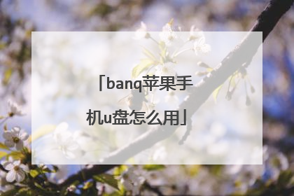 banq苹果手机u盘怎么用