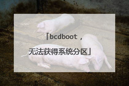 bcdboot,无法获得系统分区