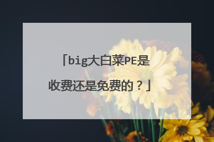 big大白菜PE是收费还是免费的?