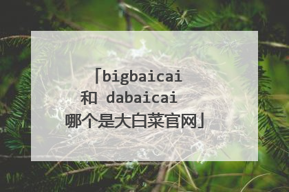 bigbaicai 和 dabaicai 哪个是大白菜官网