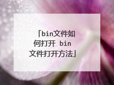 bin文件如何打开 bin文件打开方法