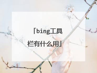 bing工具栏有什么用