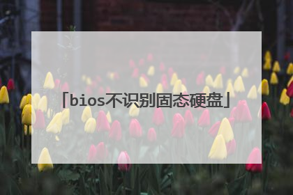 bios不识别固态硬盘