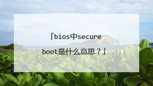 bios中secure boot是什么意思?