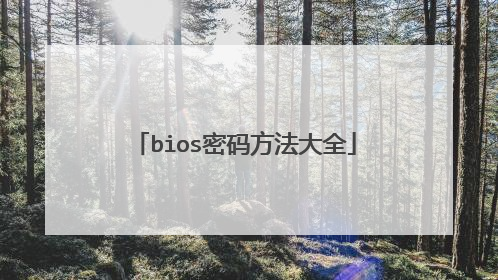 bios密码方法大全