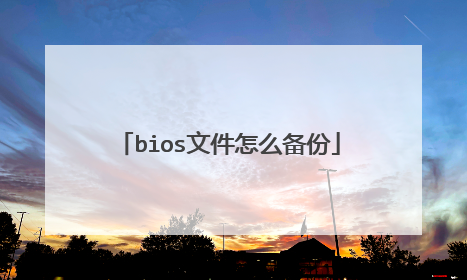 bios文件怎么备份