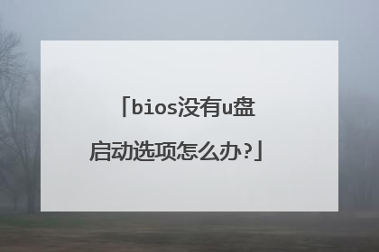 bios没有u盘启动选项怎么办?