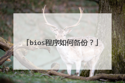 bios程序如何备份?