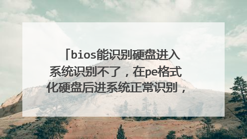bios能识别硬盘进入系统识别不了,在pe格式化硬盘后进系统正常识别,但是重启后又不见?