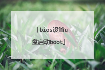 bios设置u盘启动boot