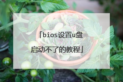 bios设置u盘启动不了的教程