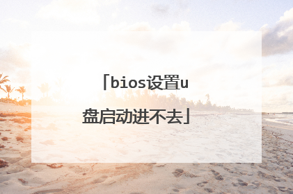 bios设置u盘启动进不去