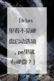 bios里看不见硬盘启动选项，pe里就有硬盘？