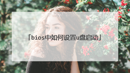 bios中如何设置u盘启动