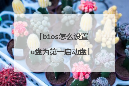 bios怎么设置u盘为第一启动盘