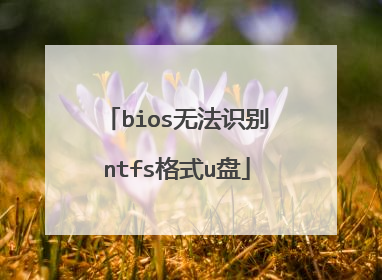 bios无法识别ntfs格式u盘