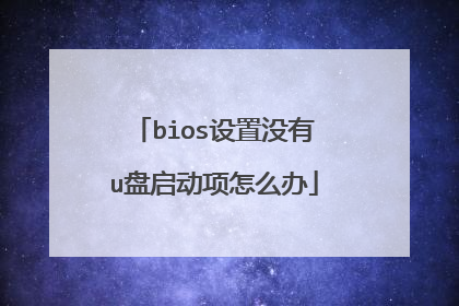 bios设置没有u盘启动项怎么办
