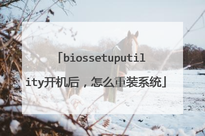 biossetuputility开机后,怎么重装系统