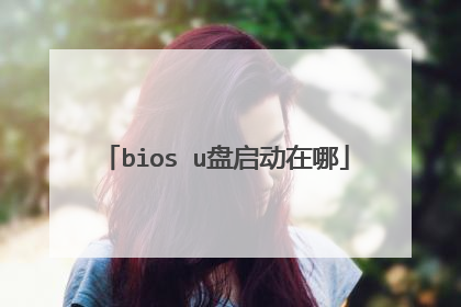 bios u盘启动在哪