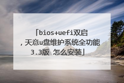 bios+uefi双启,天意u盘维护系统全功能3.3版 怎么安装
