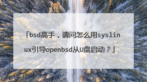 bsd高手，请问怎么用syslinux引导openbsd从U盘启动？
