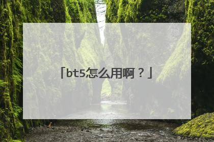 bt5怎么用啊？