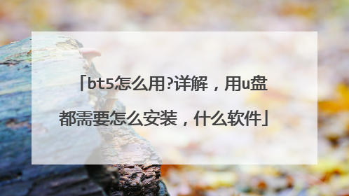 bt5怎么用?详解,用u盘都需要怎么安装,什么软件