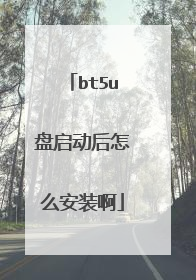 bt5u盘启动后怎么安装啊