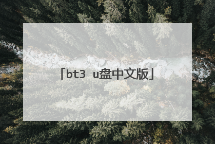 bt3 u盘中文版