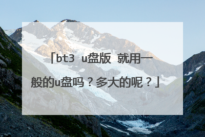 bt3 u盘版 就用一般的u盘吗?多大的呢?