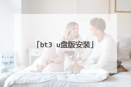 bt3 u盘版安装