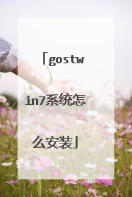gostwin7系统怎么安装