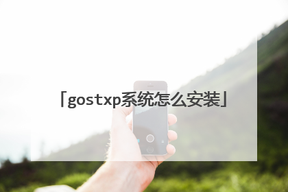 gostxp系统怎么安装