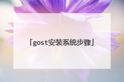 gost安装系统步骤