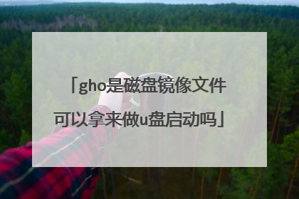 gho是磁盘镜像文件可以拿来做u盘启动吗