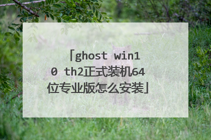 ghost win10 th2正式装机64位专业版怎么安装