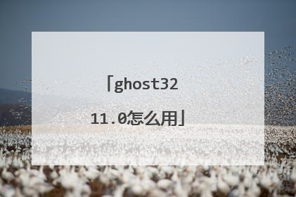 ghost32 11.0怎么用