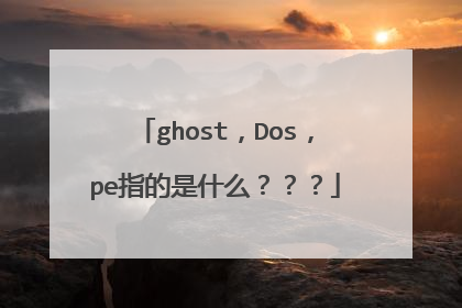 ghost,Dos,pe指的是什么???
