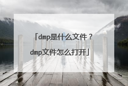 dmp是什么文件?dmp文件怎么打开