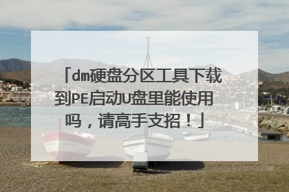 dm硬盘分区工具下载到PE启动U盘里能使用吗，请高手支招！