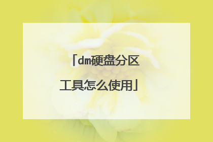 dm硬盘分区工具怎么使用