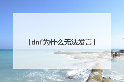 dnf为什么无法发言