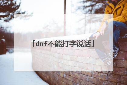 dnf不能打字说话