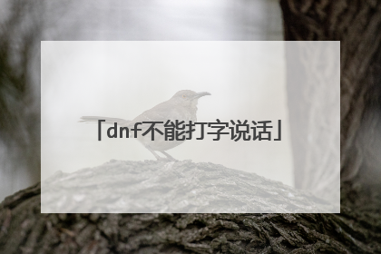 dnf不能打字说话