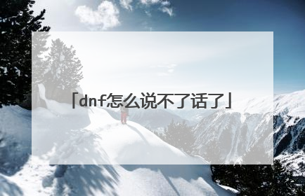 dnf怎么说不了话了