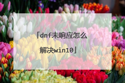 dnf未响应怎么解决win10