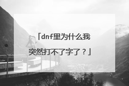 dnf里为什么我突然打不了字了?